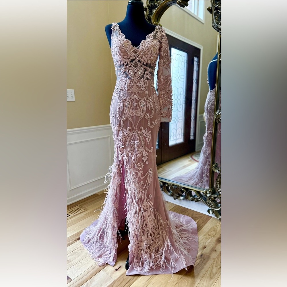 Portia and Scarlett Blush Long Sleeve Feather Fringed Embroidered Gown Size 6
